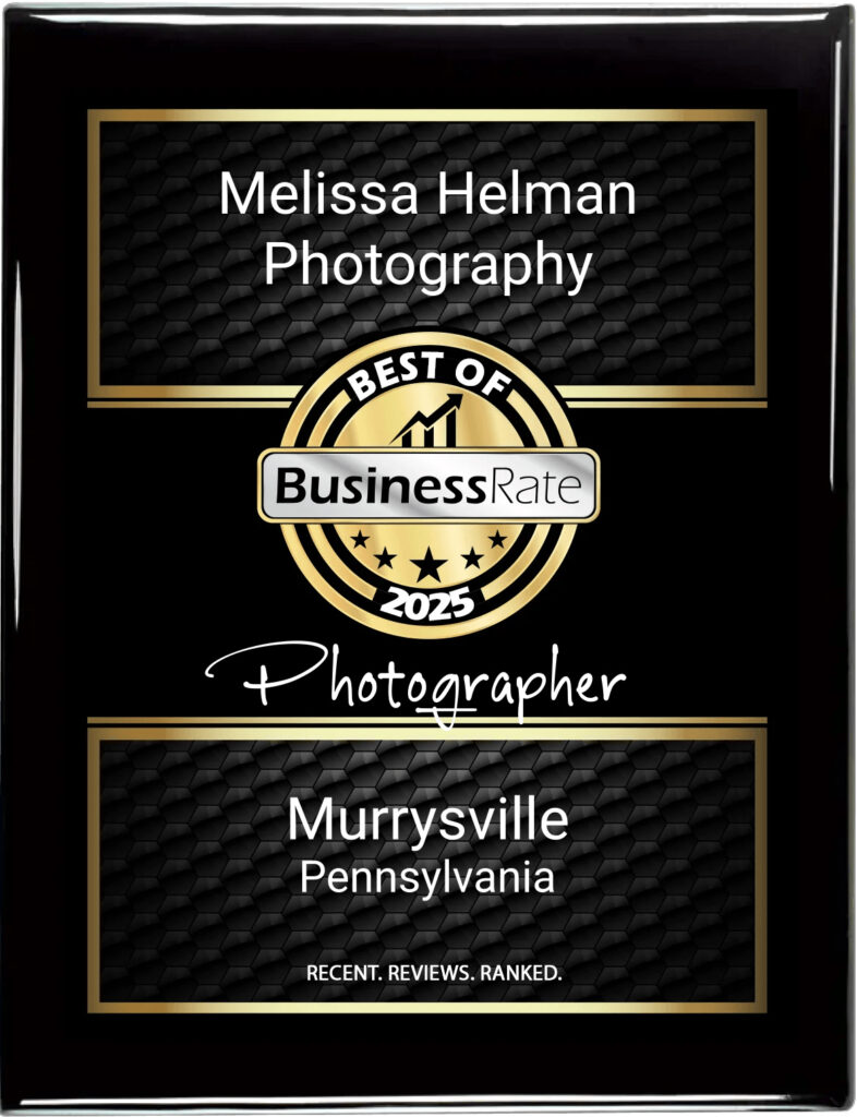 business rate award plaque for melissa helman photography